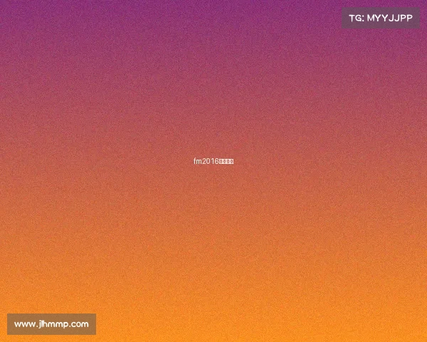 fm2016中文解说 fm2016中文解说