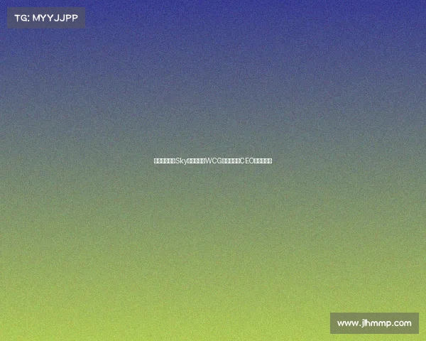 央视镜头下的Sky李晓峰：从WCG冠军到电竞CEO的蜕变之路